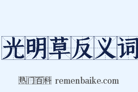 光明草反义词是什么意思的图片